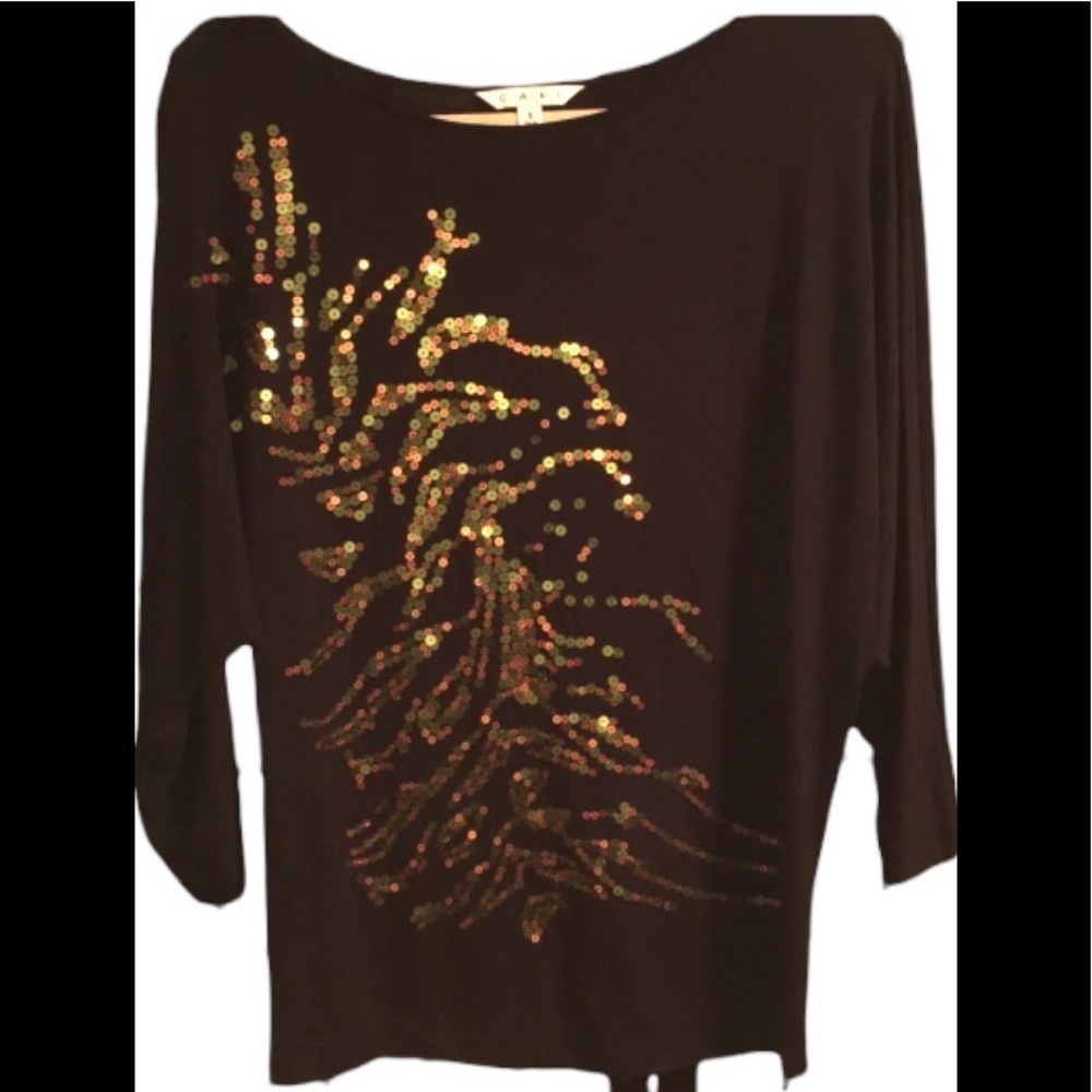 CABi Sequence Top Dolman Sleeves